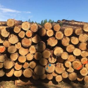 Nadelholzmix - Stammholz - LKW-Ladung