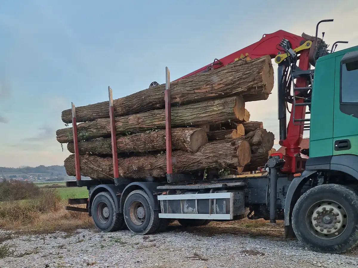 Robinie (Akazie) - Rundholz - LKW-Ladung – Bild 4