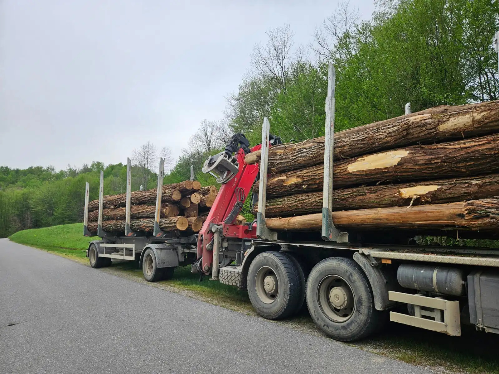 Robinie (Akazie) - Rundholz - LKW-Ladung – Bild 7