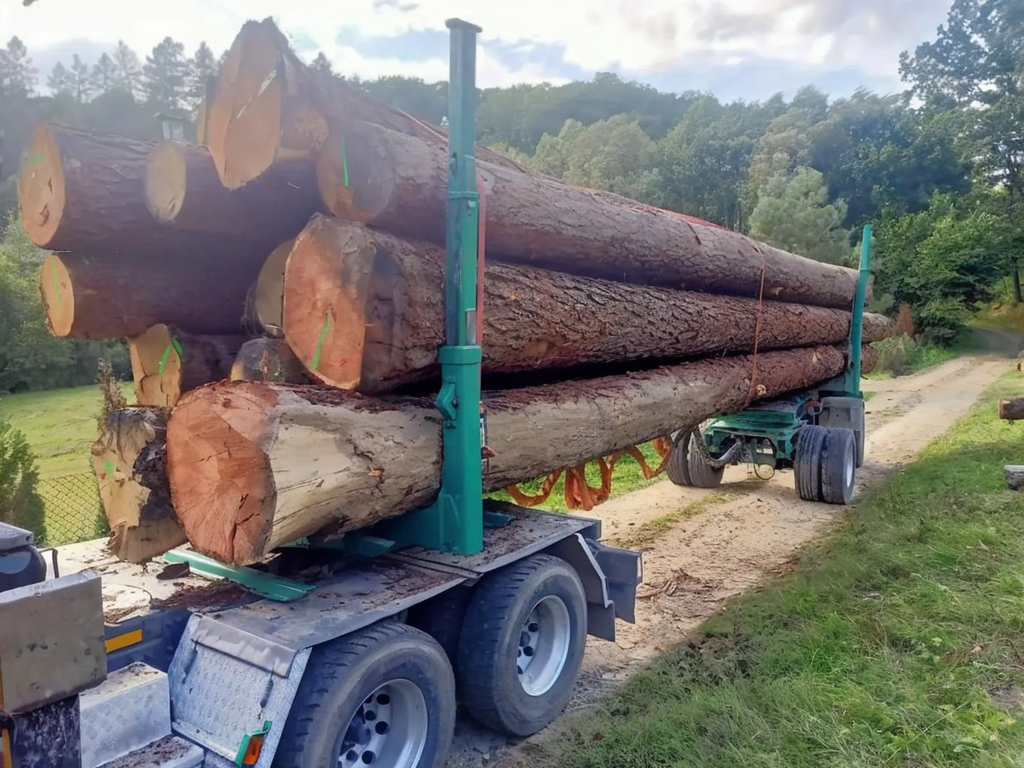 Lärche - Rundholz - LKW-Ladung – Bild 4
