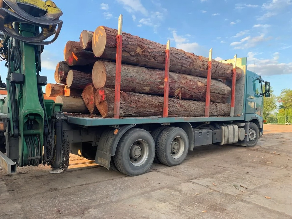 Lärche - Rundholz - LKW-Ladung – Bild 5